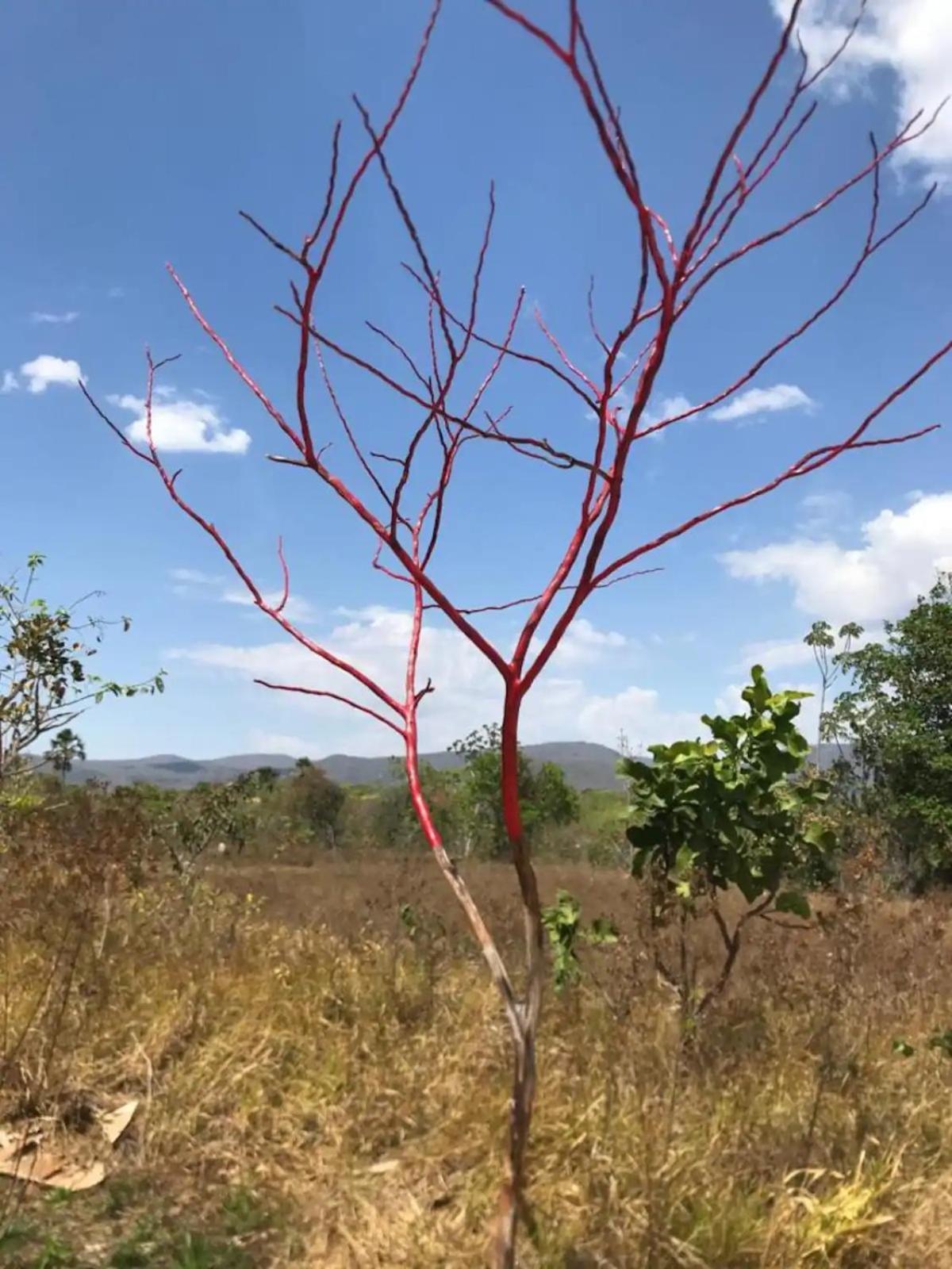 Chácara Canto da Mata Cavalcante Exterior foto